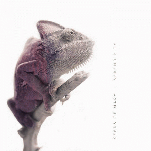 Seeds Of Mary : Serendipity